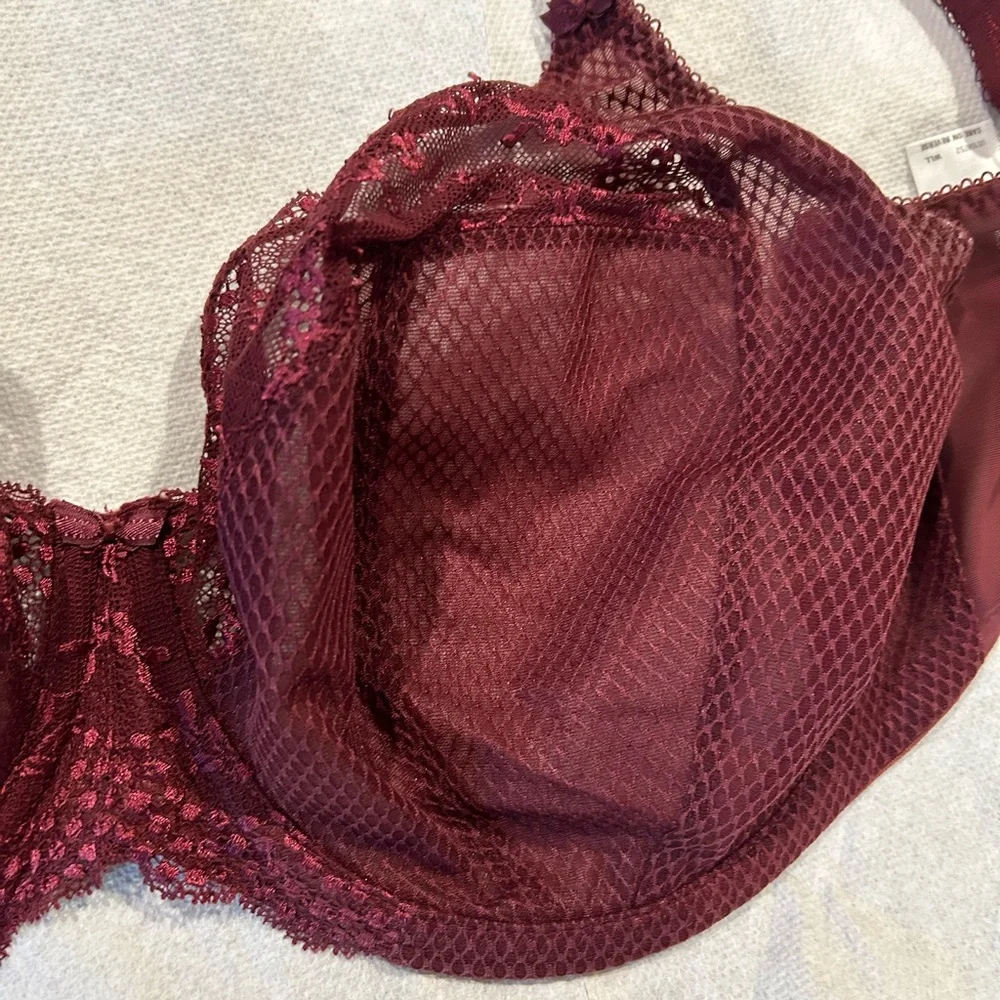 Eloni burgundy bra - Picture 4 of 5